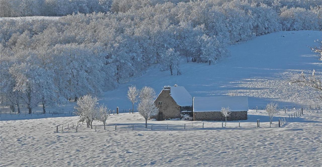 Aux Portes D'Aubrac Studio 2 Personnes Bed & Breakfast Condom-d'Aubrac Екстериор снимка