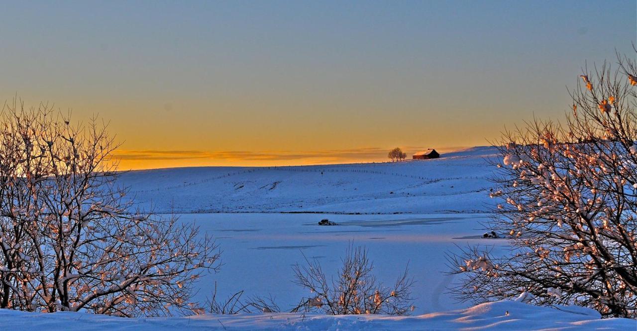 Aux Portes D'Aubrac Studio 2 Personnes Bed & Breakfast Condom-d'Aubrac Екстериор снимка